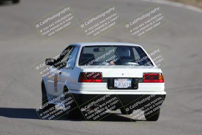 media/Nov-19-2023-Extreme Speed (Sun) [[bd0eec5490]]/Purple/Back Shots/